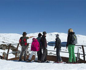 Charlotte Pass And Lookout - Holiday Find 1