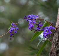 Mann River Nature Reserve - Holiday Find
