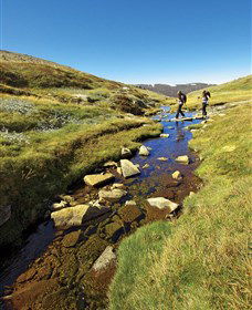 Australian Alps Walking Track - Holiday Find 0