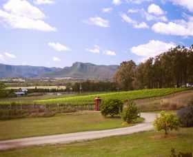 Catherine Vale Wines - Holiday Find 0