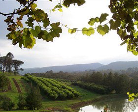 Enniskillen Orchard - Holiday Find 1
