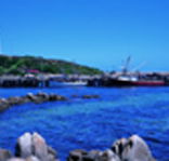 King Island Dairies - Holiday Find