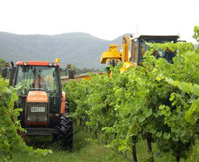 Stomp! Wines - Holiday Find 8