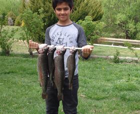 Eucumbene Trout Farm - Holiday Find 3