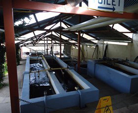 Eucumbene Trout Farm - Holiday Find 5