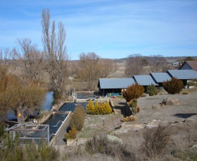 Eucumbene Trout Farm - Holiday Find 6