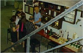 John Kosovich Wines - Holiday Find 1