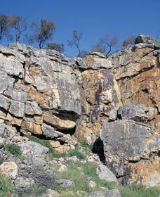 Badgingarra Nature Trail - Holiday Find 0