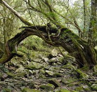 Mitchell River National Park - Holiday Find