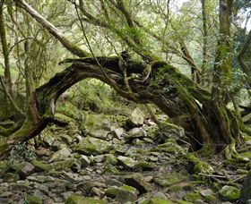 Mitchell River National Park - Holiday Find 0