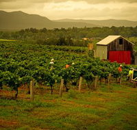 Around Hermitage Wine and Food Trail Hunter Valley - Holiday Find