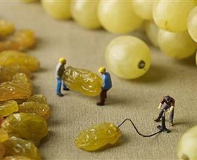 Hunter Valley Wine School - Holiday Find 0