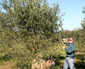 Langdale Farm - Holiday Find 3