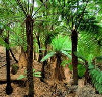 Pegarah Private Nature Reserve  Parenna Place - Holiday Find
