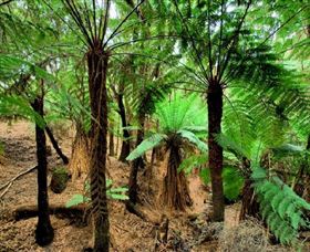 Pegarah Private Nature Reserve & Parenna Place - Holiday Find 0