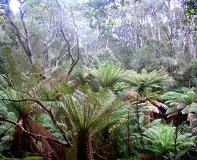 Pegarah Private Nature Reserve & Parenna Place - Holiday Find 1