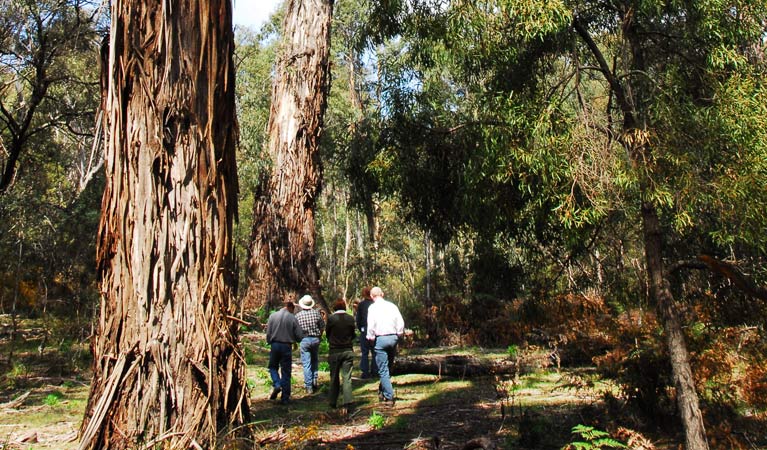 Jingera NSW Holiday Find