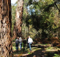 Tallaganda National Park - Holiday Find