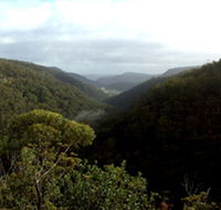 Nattai Gorge Lookout - Holiday Find