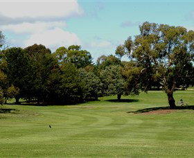 Cooma Golf Club - Holiday Find 1