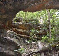 Cave Creek Walking Track - Holiday Find