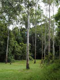 Pioneer Country Park - Holiday Find 1