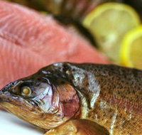 Lovedale Smokehouse Gourmet Pantry Cafe and Masterclasses - Holiday Find