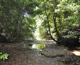State Forests Of The Watagan Mountains - Holiday Find 1