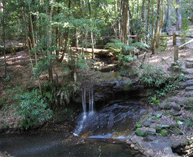 State Forests Of The Watagan Mountains - Holiday Find 3