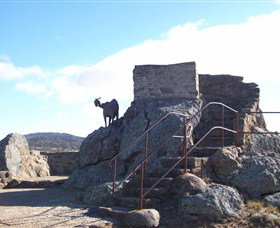 Nanny Goat Hill Lookout - Holiday Find 3