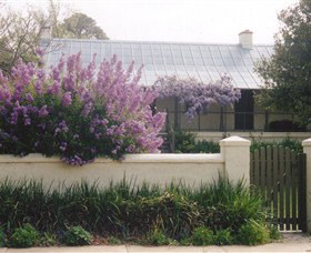 Lambie Town Walk - Holiday Find 4