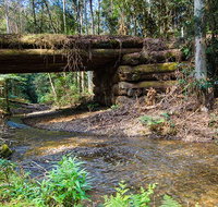 Myrtle Scrub scenic drive - Holiday Find