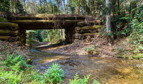 Myrtle Scrub Scenic Drive - Holiday Find 0