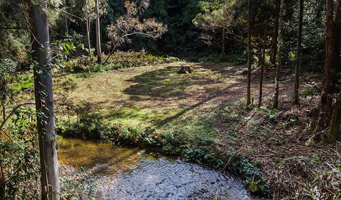 Myrtle Scrub Scenic Drive - Holiday Find 3