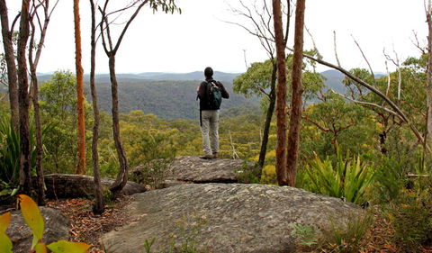 Mount Olive Lookout - Holiday Find 1