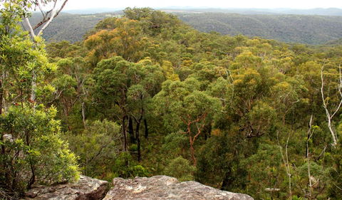 Mount Olive Lookout - Holiday Find 0