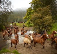 Glenworth Valley Horse Riding - Holiday Find