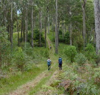 The Green Gully track - Holiday Find