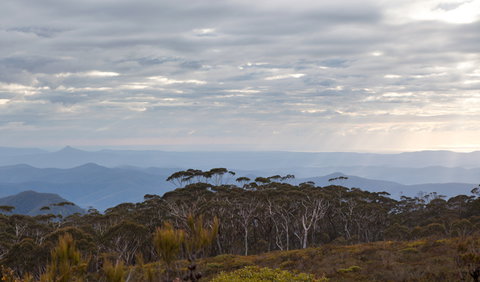 Mount Budawang Trail - Holiday Find 0