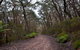 Mount Budawang Trail - thumb 1