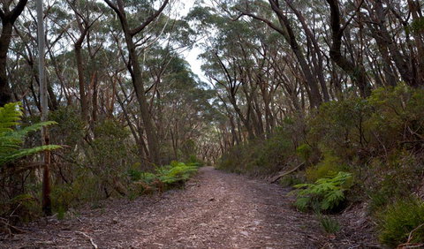 Mount Budawang Trail - Holiday Find 1