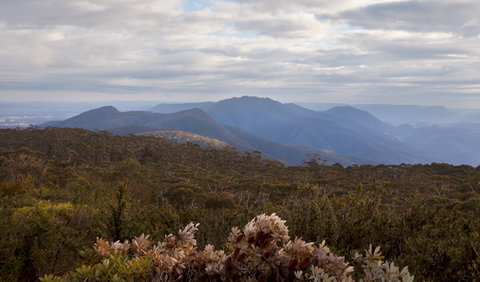 Mount Budawang Trail - Holiday Find 2