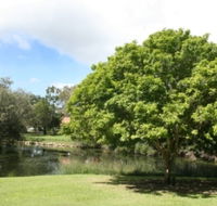 Hervey Bay Botanic Gardens - Holiday Find