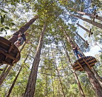 TreeTop Adventure Park Central Coast - Holiday Find