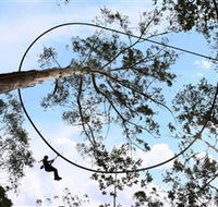 TreeTops Crazy Rider - Holiday Find