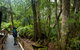 Monga National Park - thumb 0