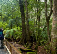 Monga National Park - Holiday Find