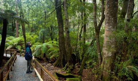 Monga National Park - Holiday Find 0