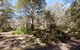 Monga National Park - thumb 1