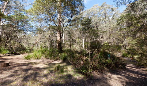 Monga National Park - Holiday Find 1